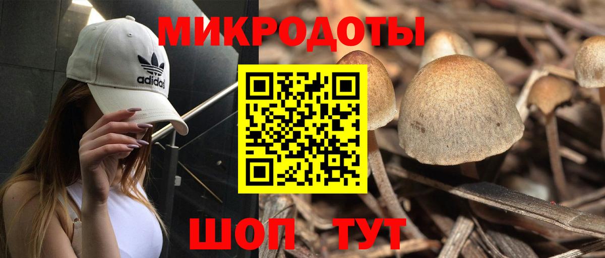 Лесной  Галлюциногенные грибы GOLDEN TEACHER  сколько стоит  Вход с VPN 