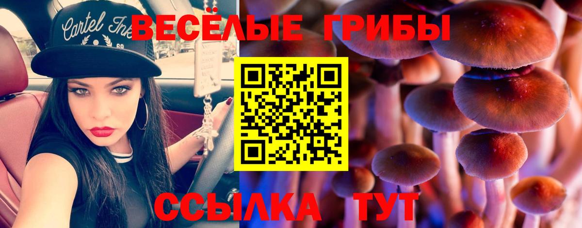 Псилоцибиновые грибы GOLDEN TEACHER Лесной