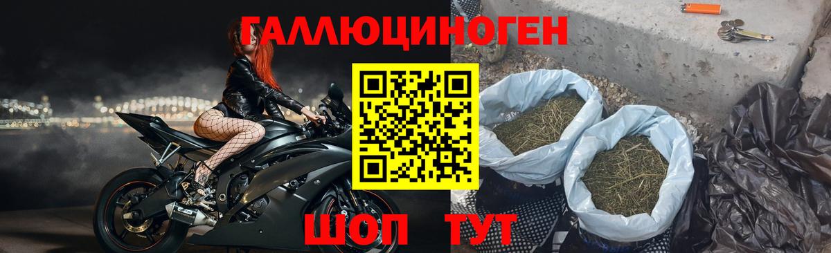 Галлюциногенные грибы Psilocybine cubensis Лесной
